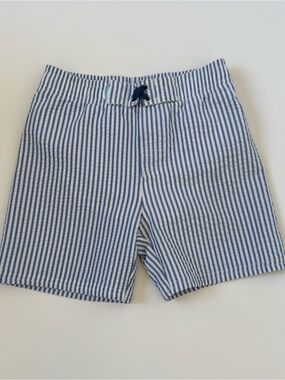 Kids Blue and White Striped Swim Trunks